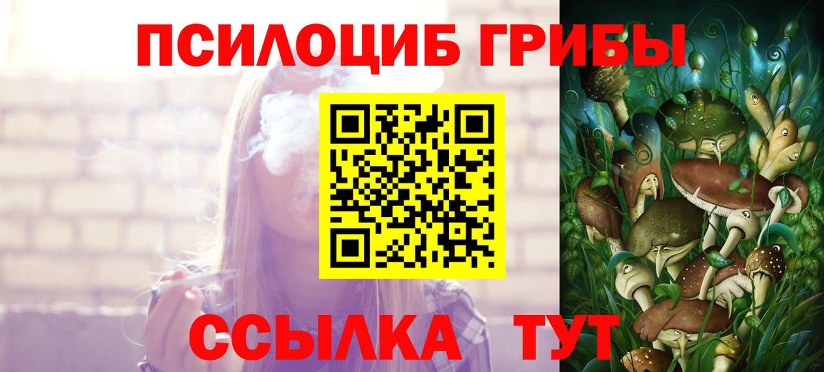 как найти   Псилоцибиновые грибы MAGIC MUSHROOMS  Вход с VPN  Беслан 
